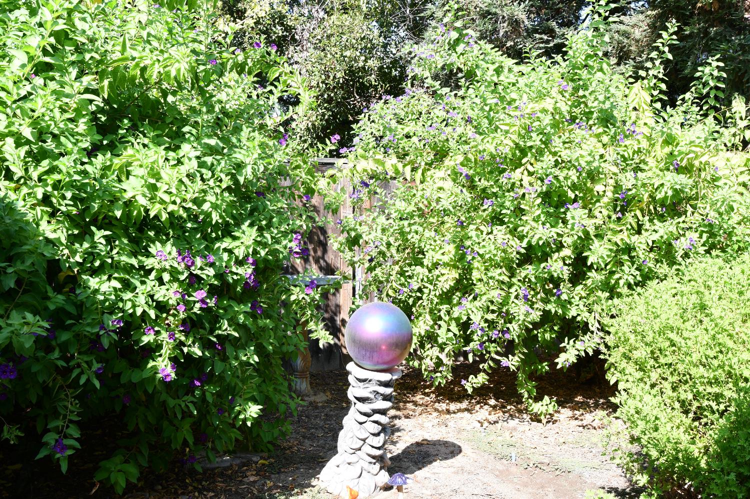 9260 N Green Meadows Ln, Fresno, CA 93720